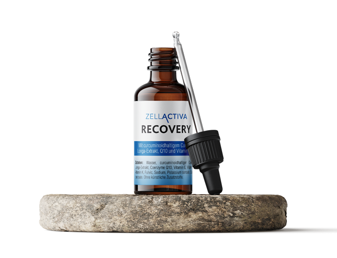 ZELLACTIVA RECOVERY